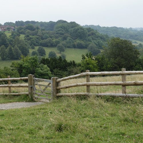20160720_Croydon_Farthing-Downs_Fence-gate-and-hazy-view