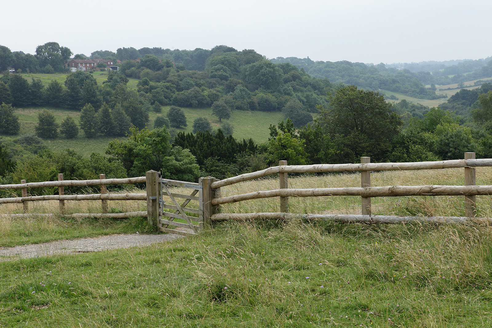 20160720_Croydon_Farthing-Downs_Fence-gate-and-hazy-view
