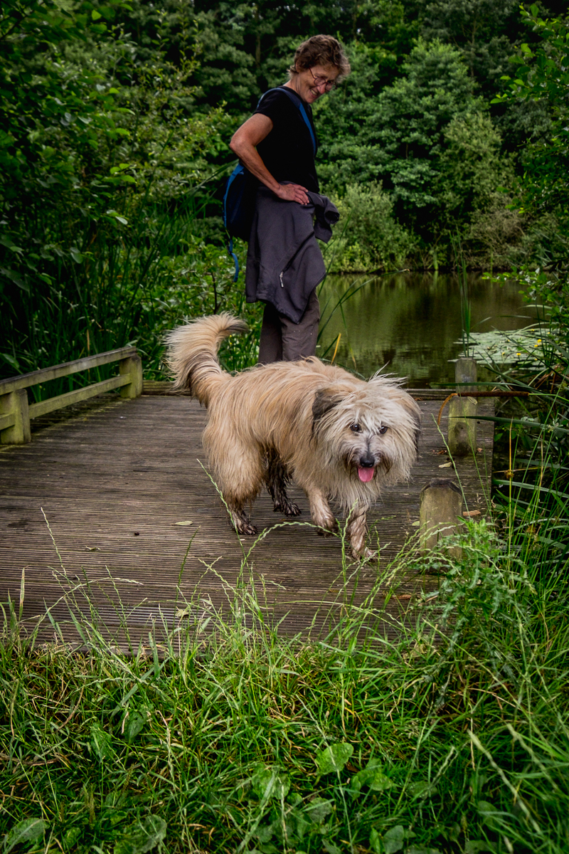 20160727_Enfield_Trent-Park_Water-is-Fun
