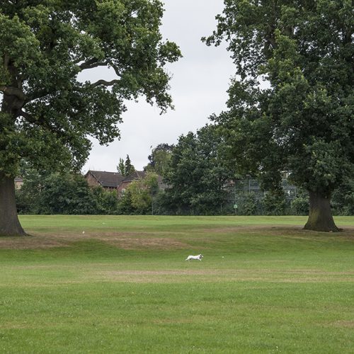 20160728__Barnet_Ludgrove-Playing-Fields_Keep-fit