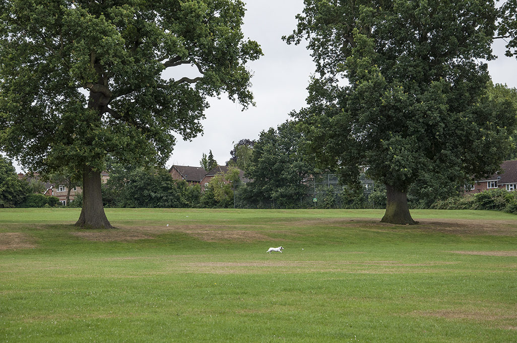 20160728__Barnet_Ludgrove-Playing-Fields_Keep-fit