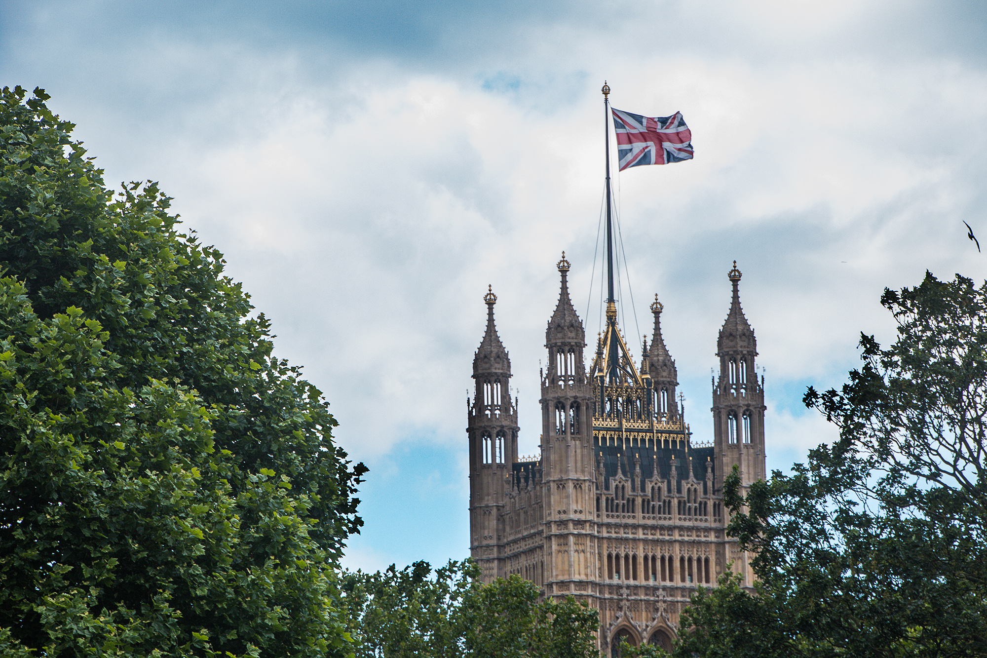 4648-Lambeth-Palace-Gardens-view-of-Parliment