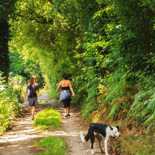 4730-Trent-Park-Hikers-with-dog