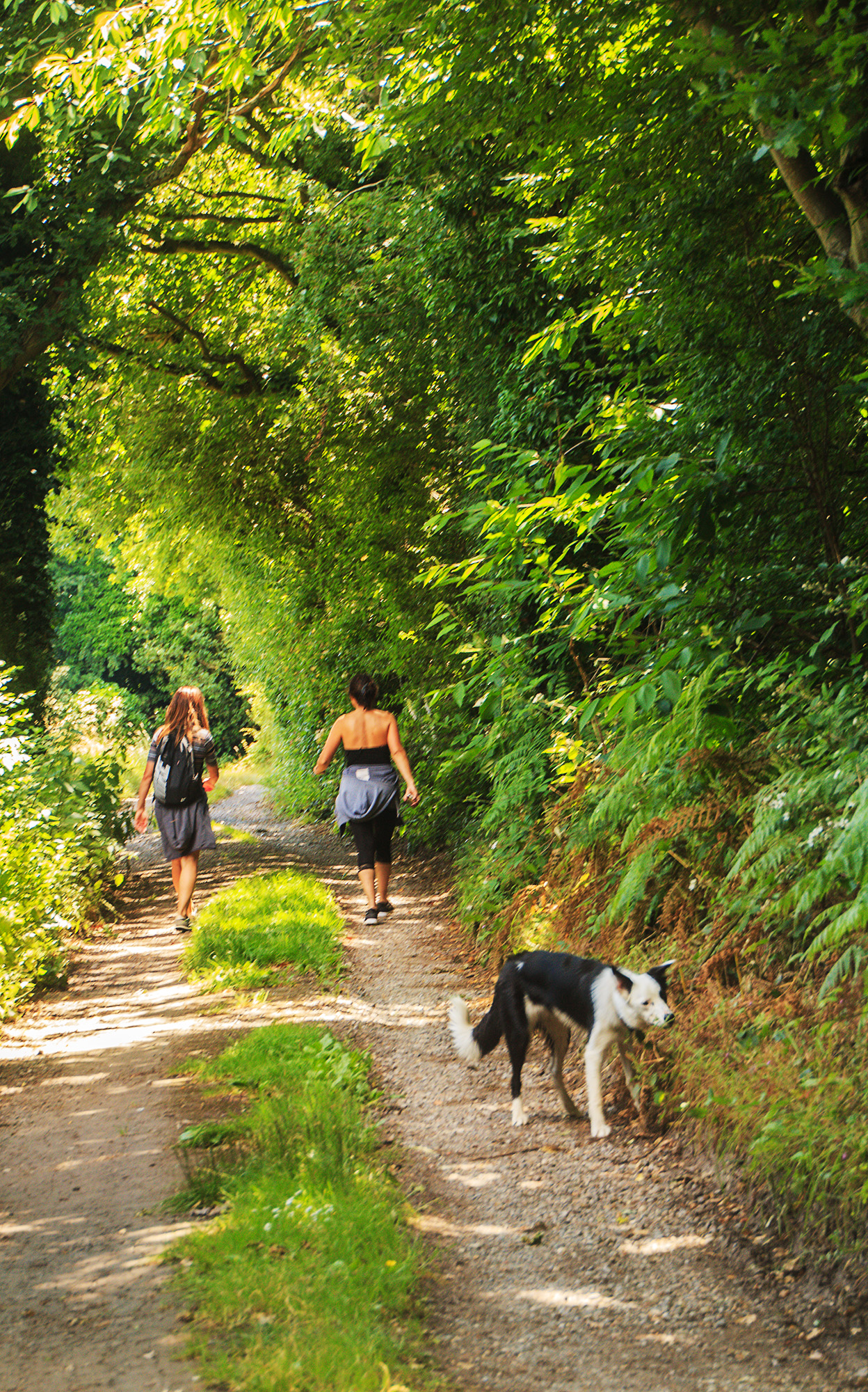 4730-Trent-Park-Hikers-with-dog