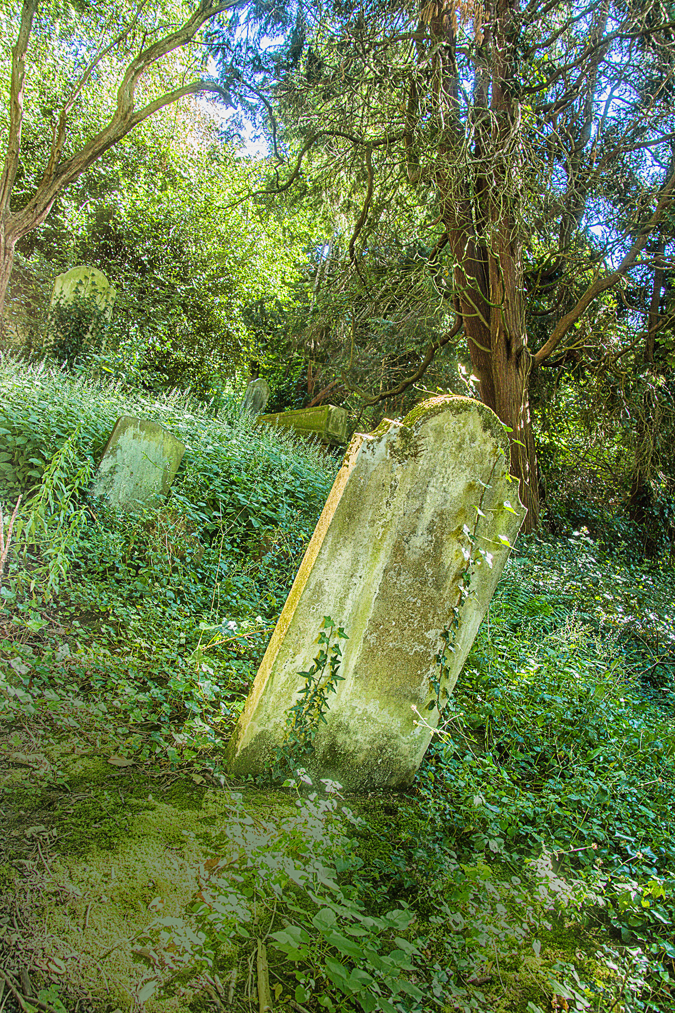 5050-Harrow-on-the-Hill-St-Mary-s-churchyard-tombstone