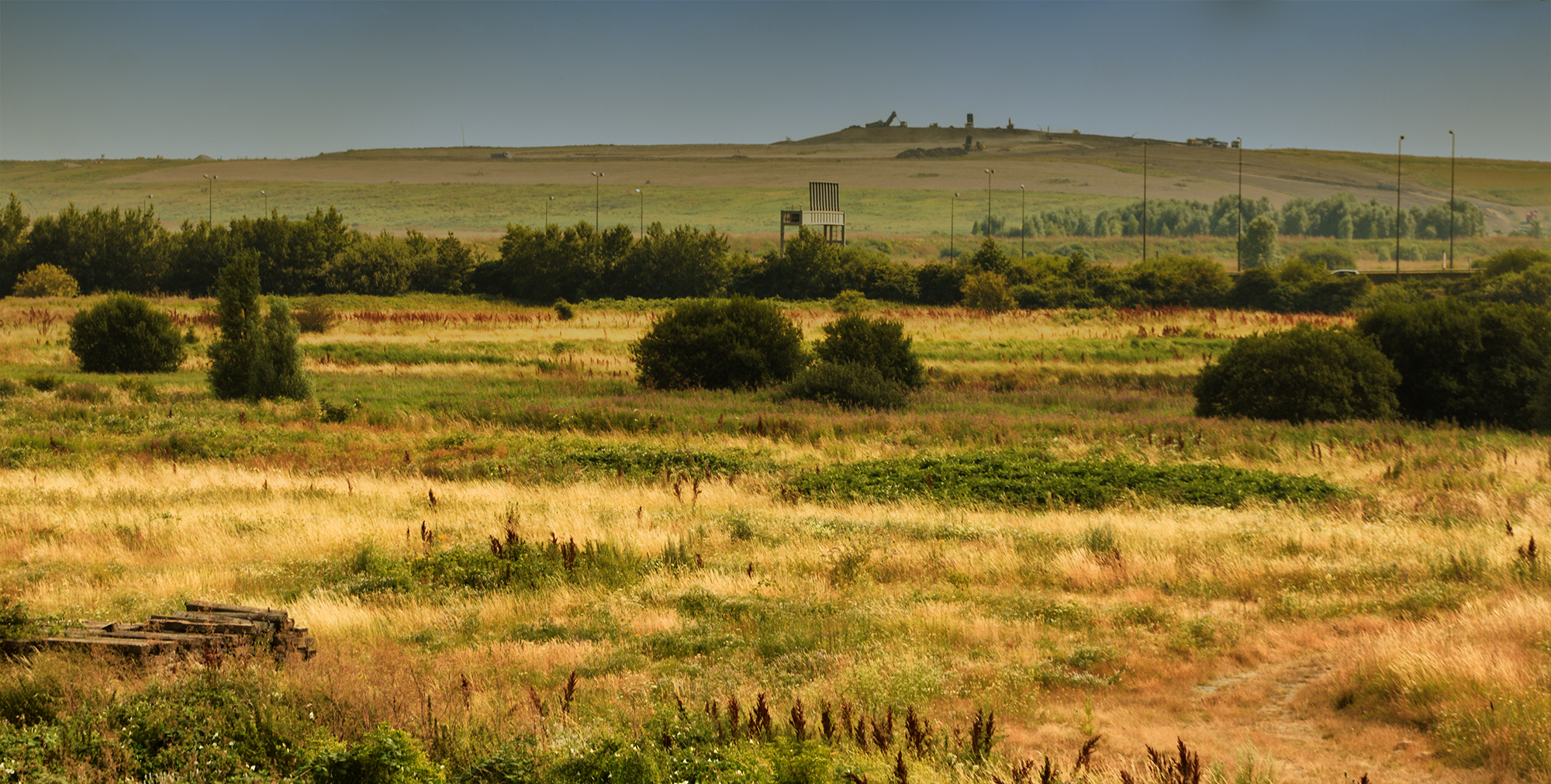 5098-Rainham-Marshes-pastoral-it-is-not