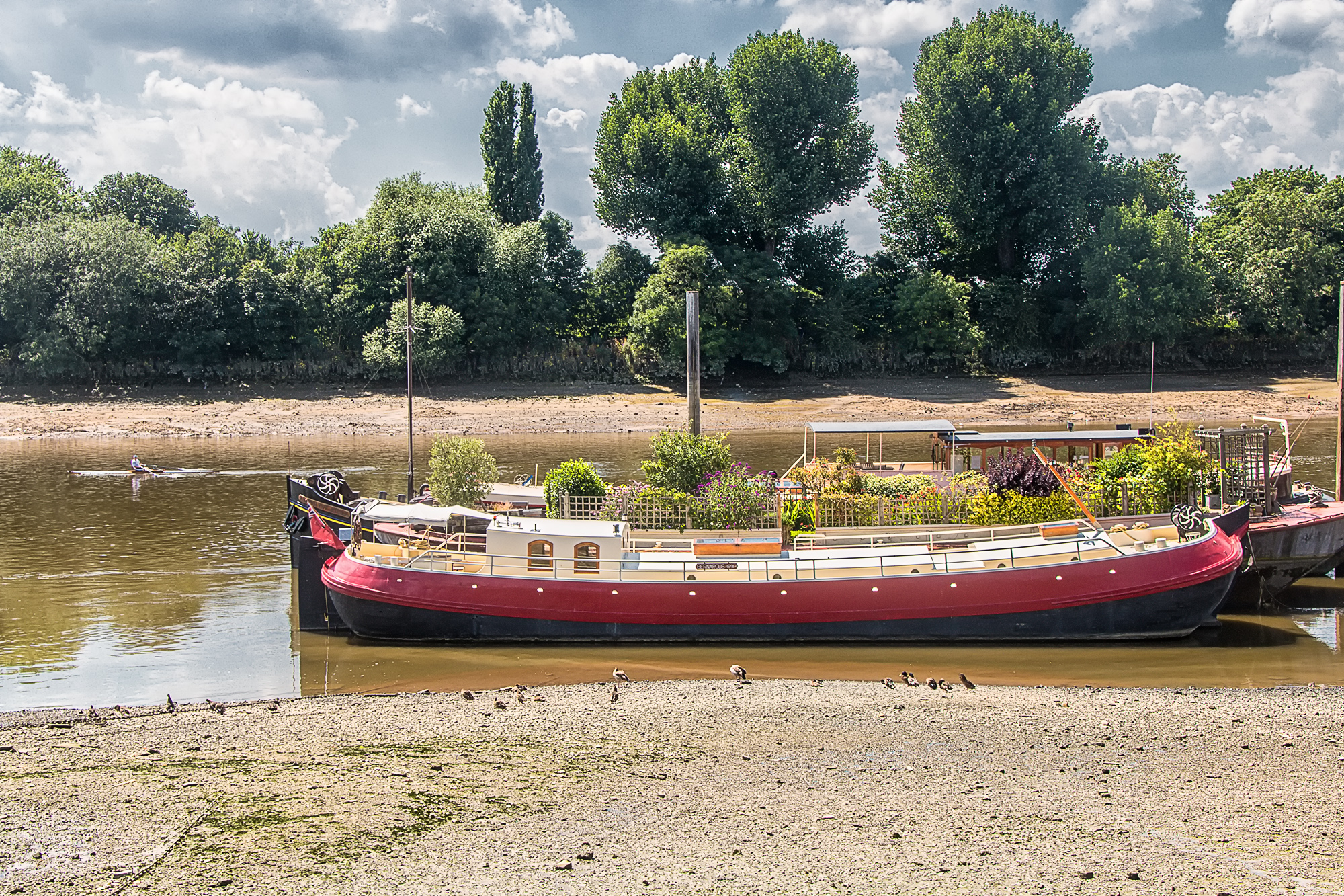 5204-Thames-at-Hammersmith-barge-on-the-mud-with-garden-on-deck