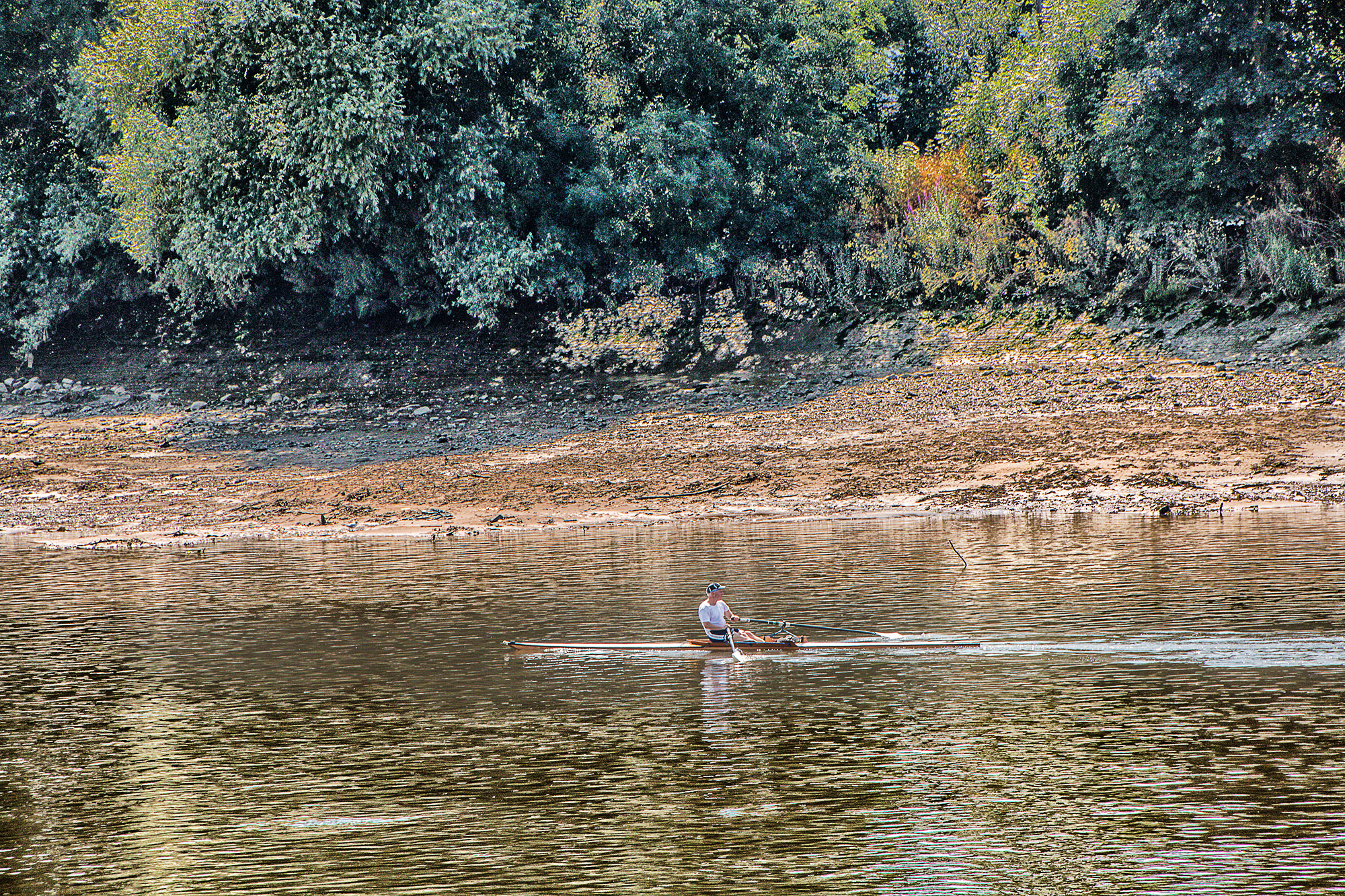 5205-Thames-at-Hammersmith-sculling-at-low-tide