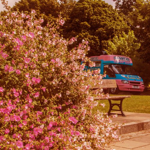 5208-Hammersmith-Furnival-Gardens-ice-cream-van-behind-bushes