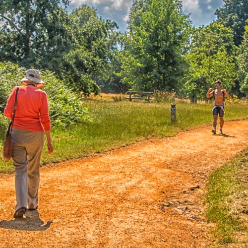 5213-Hiking-in-Richmond-Park-cropped-tighter