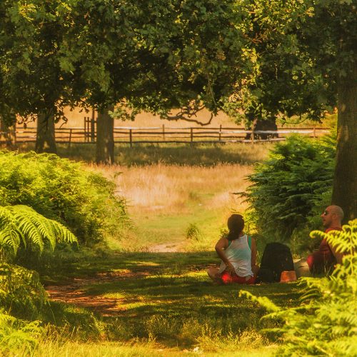 5223-Picnicing-in-Richmond-Park