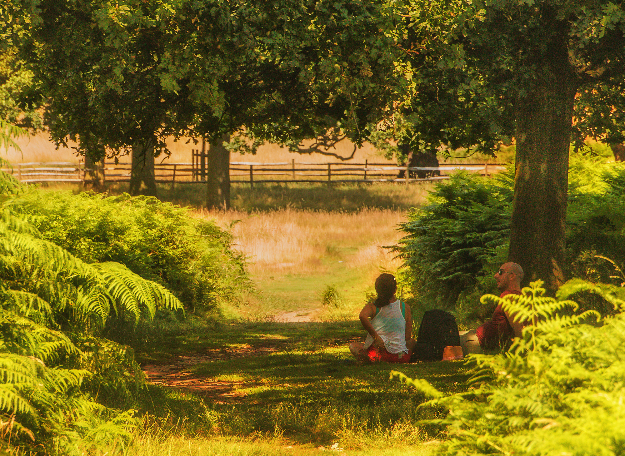 5223-Picnicing-in-Richmond-Park