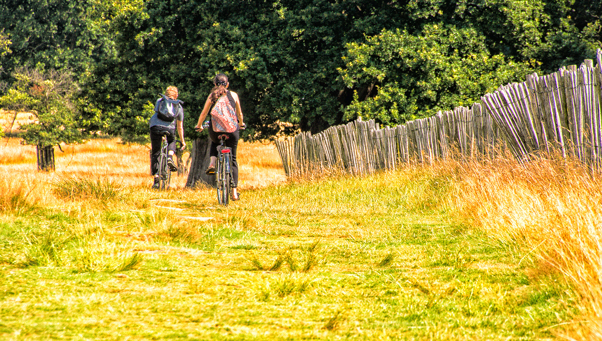 5225-Cycling-in-Richmond-Park