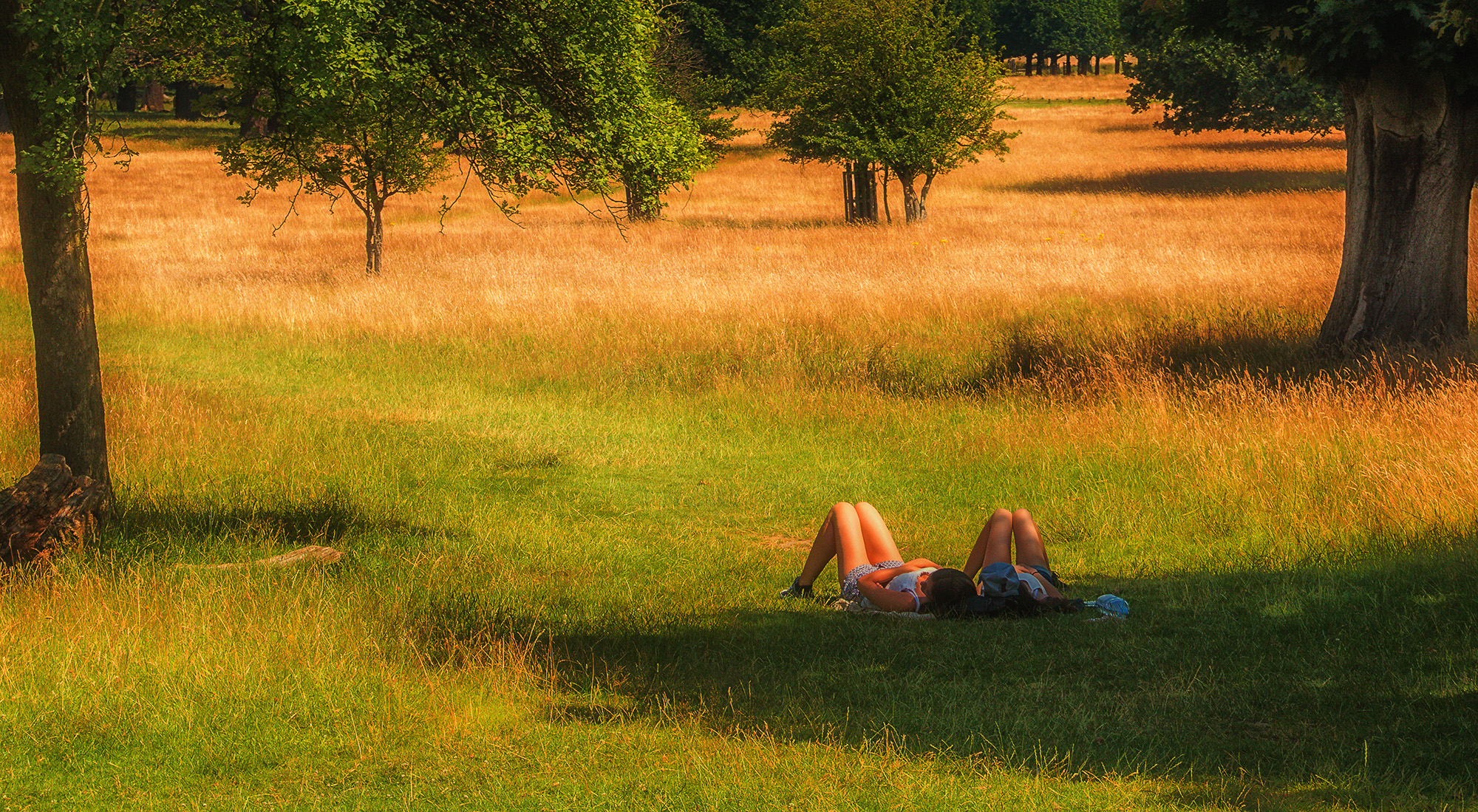 5226-Sunbathing-in-Richmond-Park