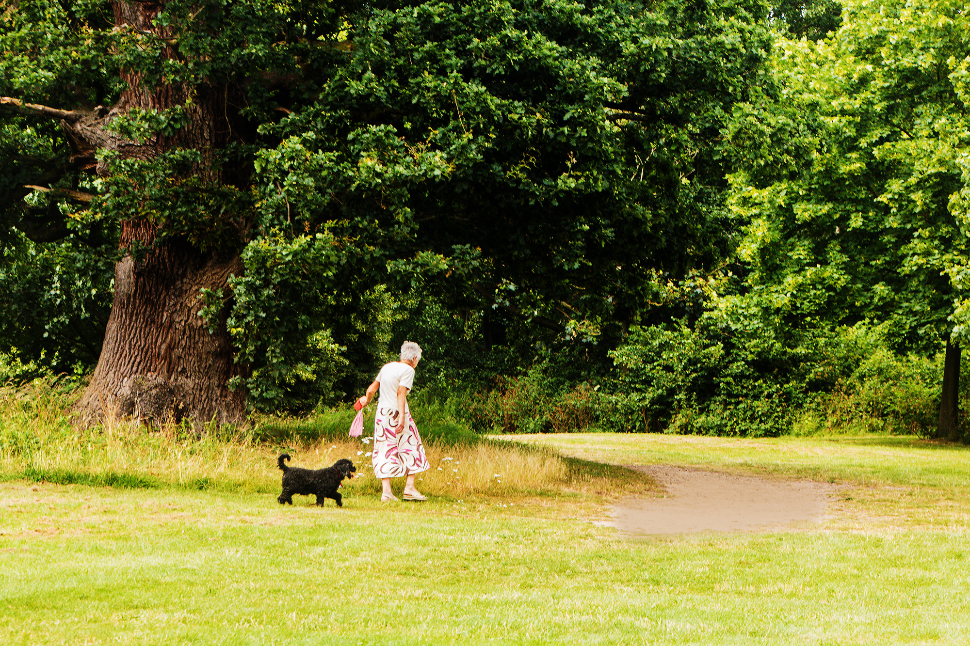 5270-Walking-the-dog-at-Osterley