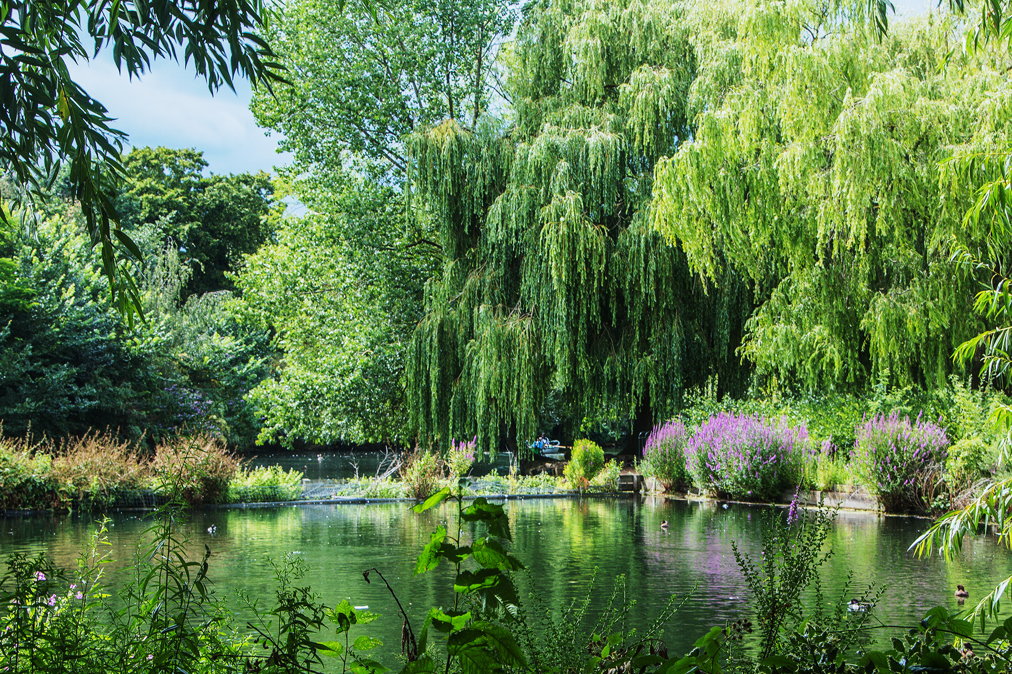 5381-Haringey-Finsbury-Park-ornamental-lake