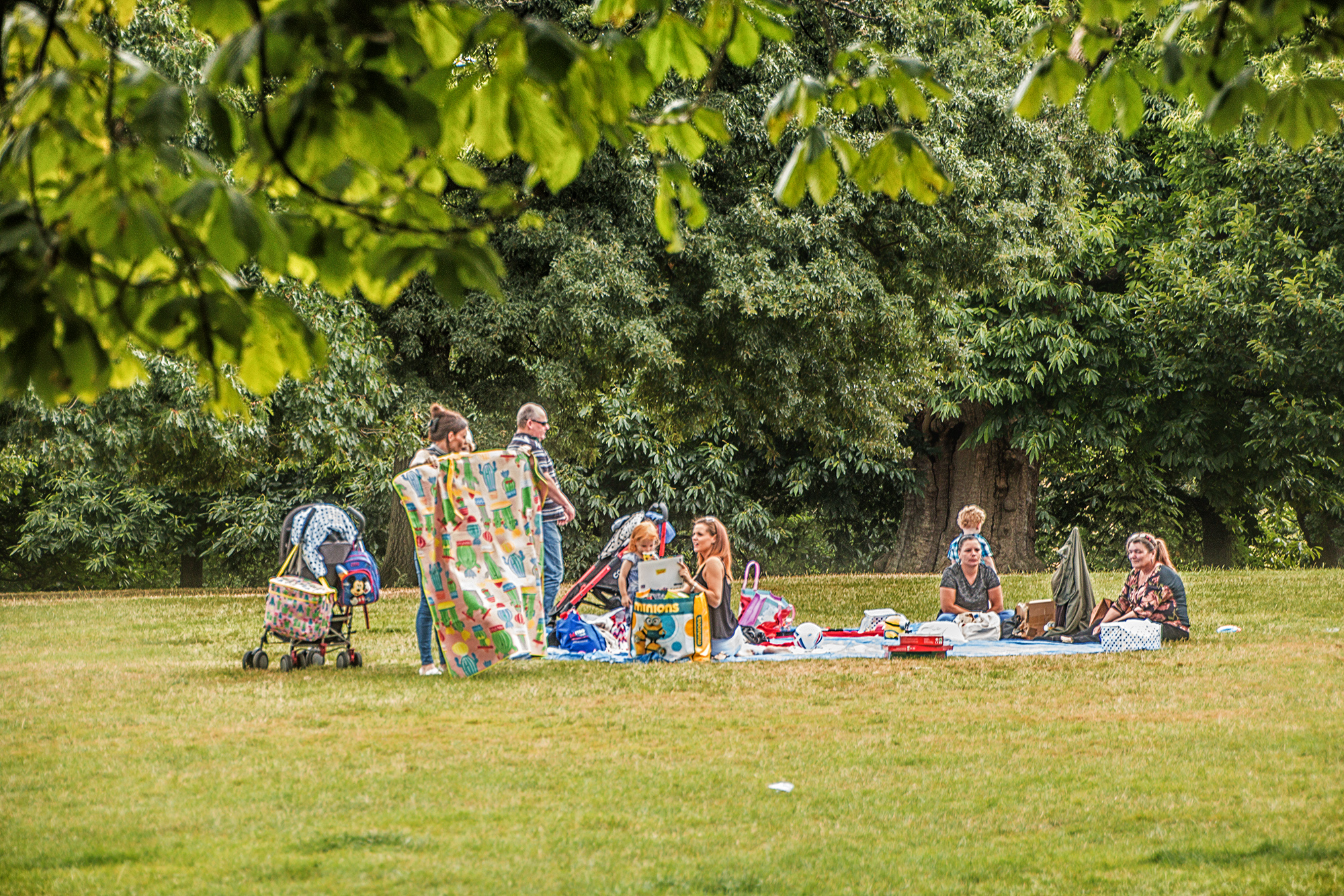 5498-Greenwich-Picnic-in-the-park