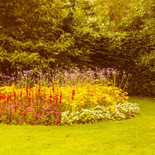 5504-Greenwich-Flower-Garden-at-Greenwich-Park