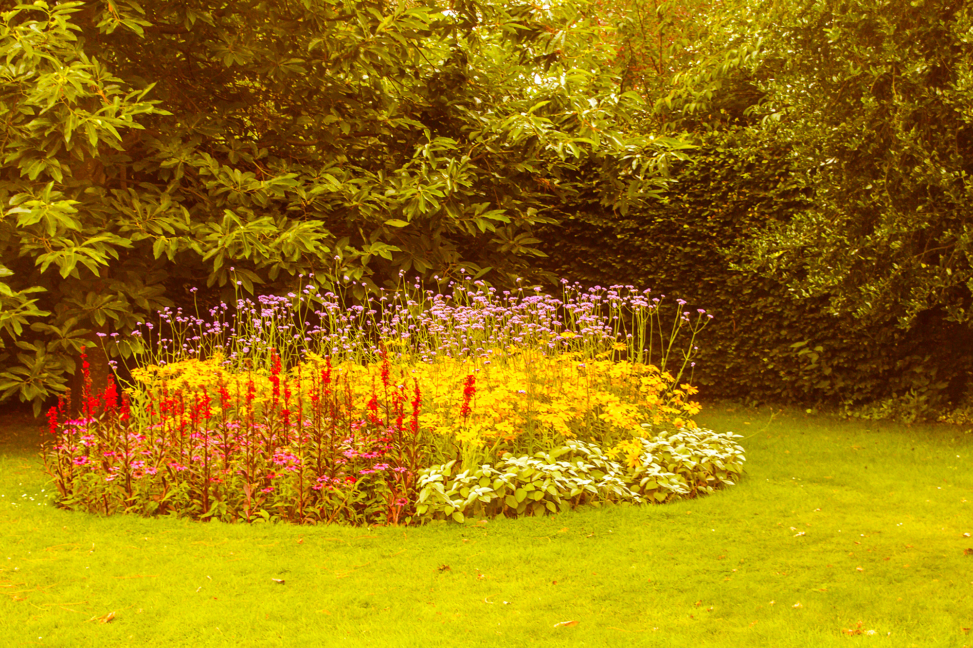 5504-Greenwich-Flower-Garden-at-Greenwich-Park