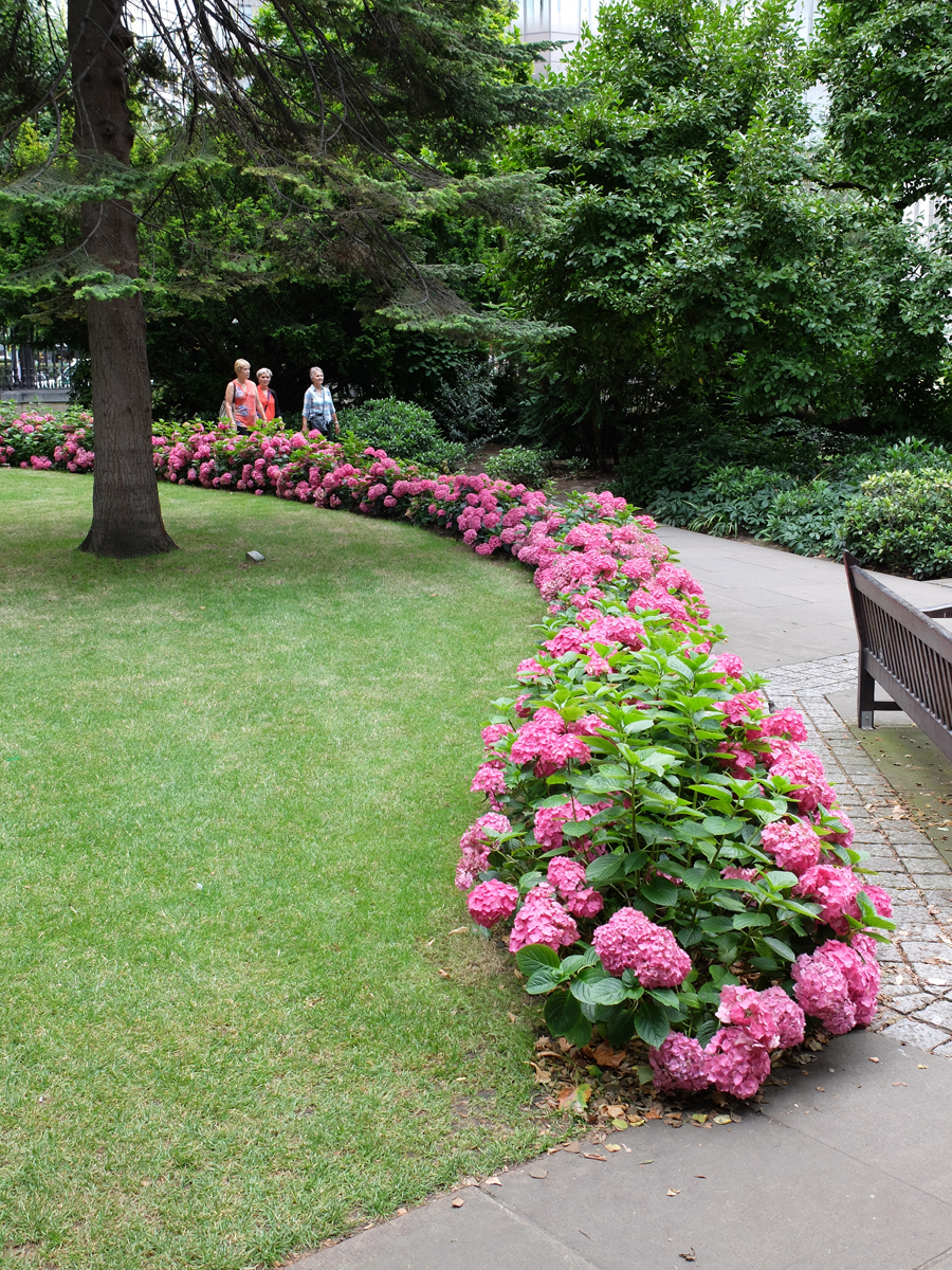 St-Pauls-Cathedral-Garden-flora