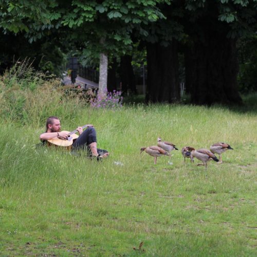 serenading-the-ducks-2