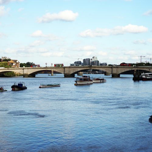 016-08-03-Wandsworth_Thames-Path_Summer_Landscape_the-No.-93-is-in-sight