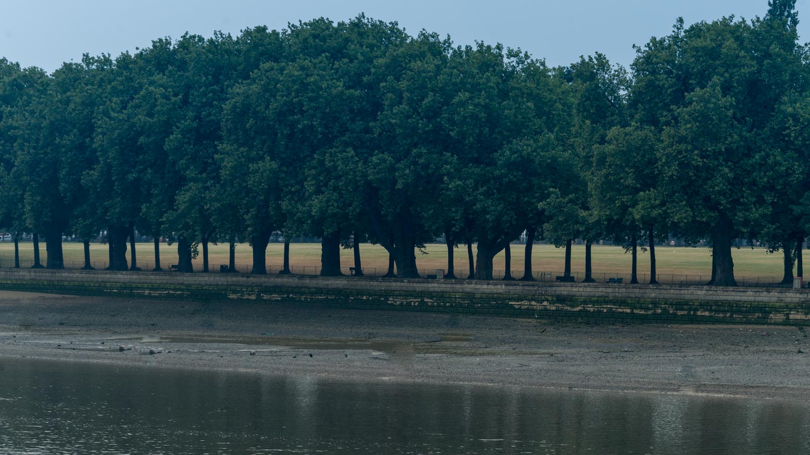 160819_Hammersmith-Fulham_Fulham_Bishop-Park-Thames-Tow-Path