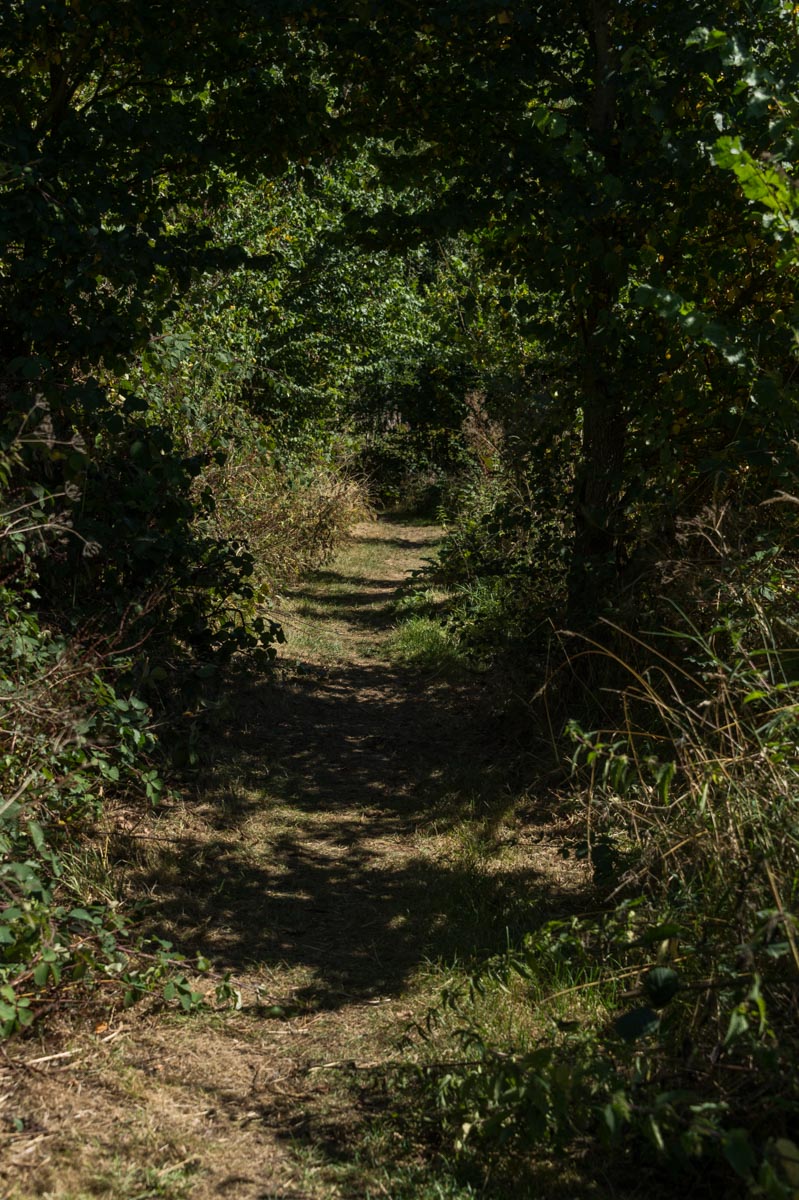 160826_Brent_WelshHarp_Path-tunnel