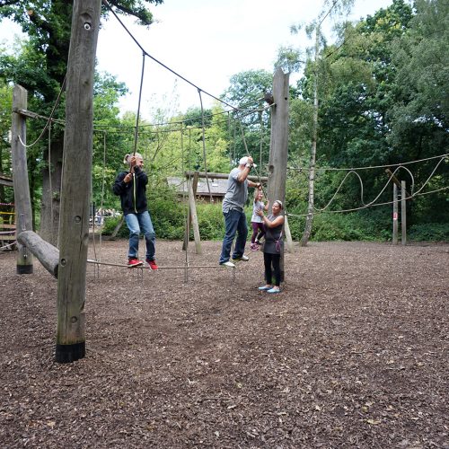 2016-07-27-Trent-Park_Family-at-Play_Summer