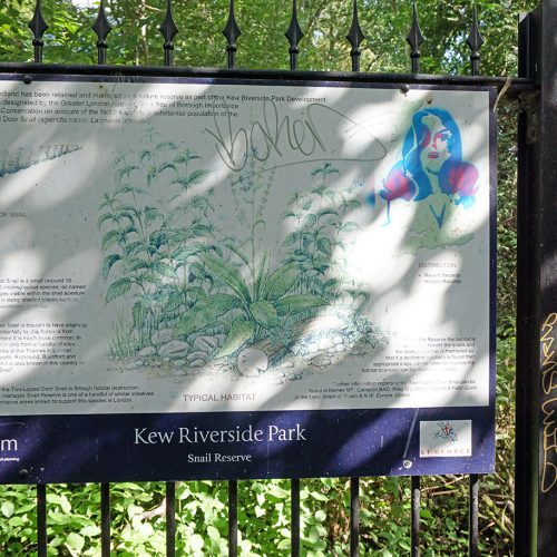 2016-08-03-Richmond_Kew-Riverside-Park_Detail_Snail-Reserve