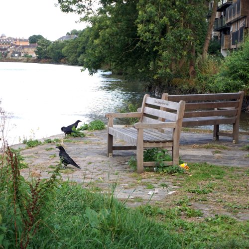 2016-08-03-Richmond_Thames-Path_Summer_Back-to-Back
