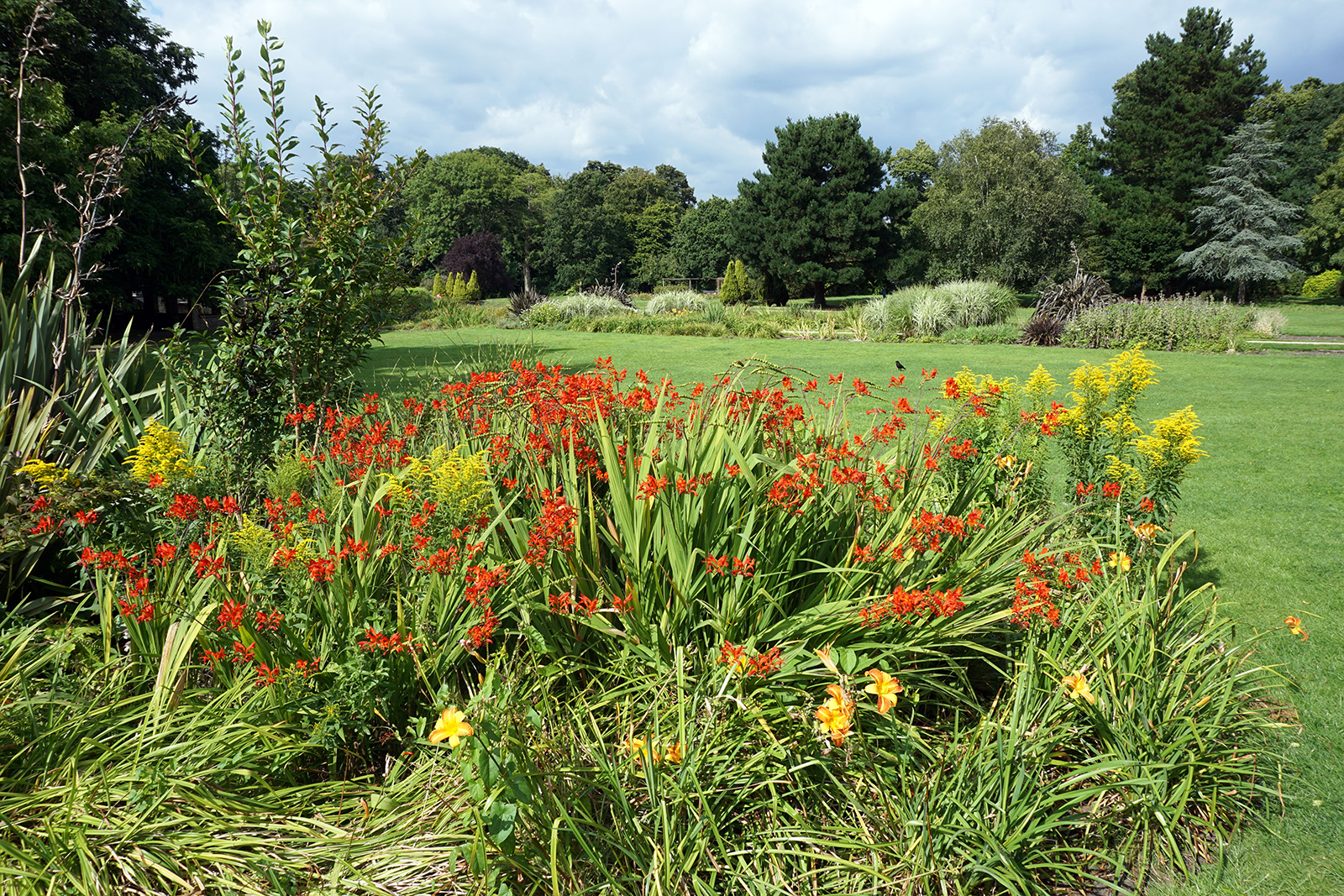 2016-08-10-LB-Sutton_Beddington-Park_Summer_Beautiful-Splash-of-Colour