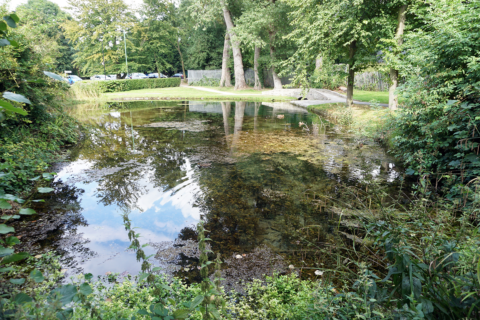 2016-08-10-LB-Sutton_Carshalton_Fresh-Water-Bubbles-up-here-form-the-chalt-beds-to-feed-the-Wandle