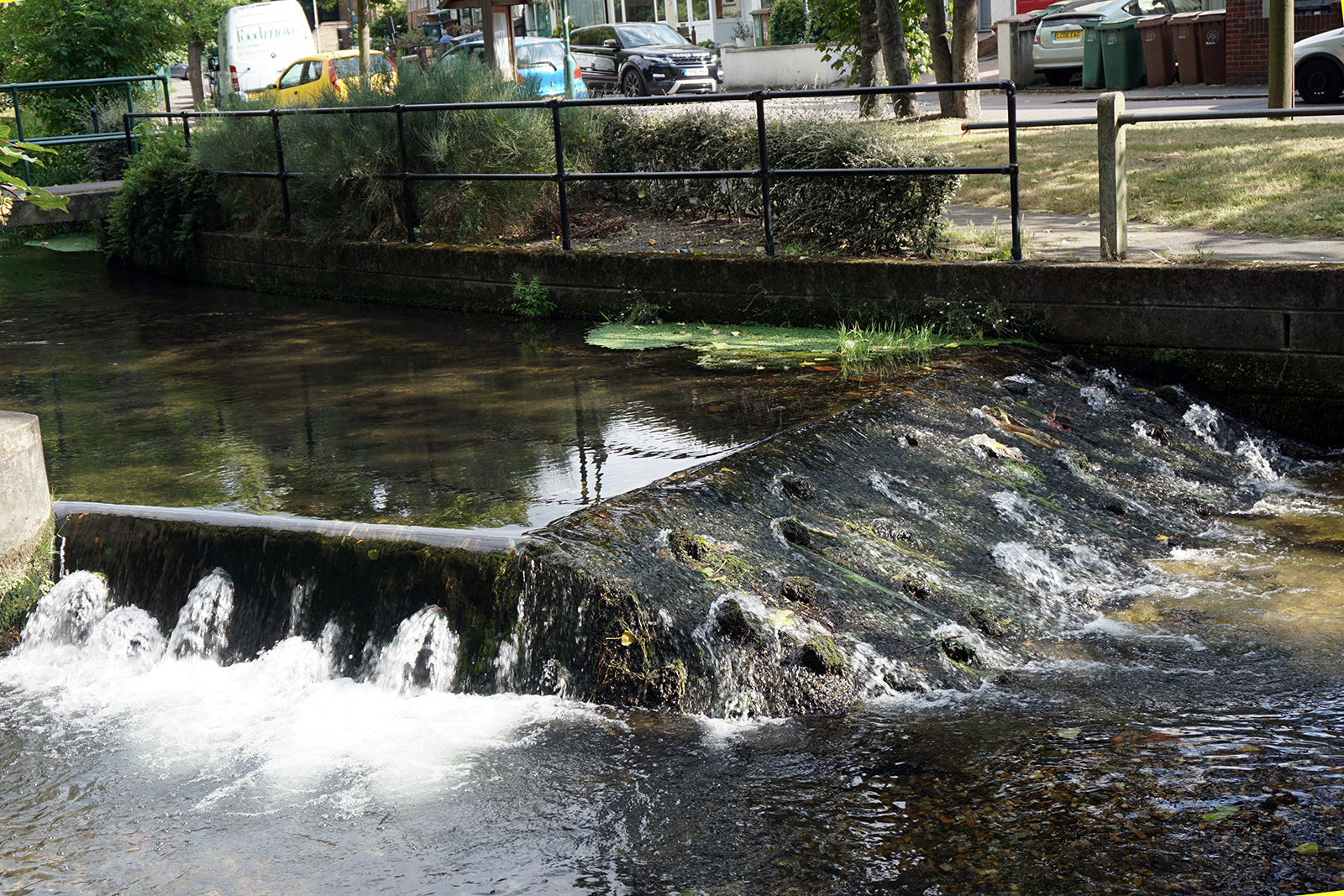 2016-08-10-Suitton_Wandle_Weir_Summer_Detail