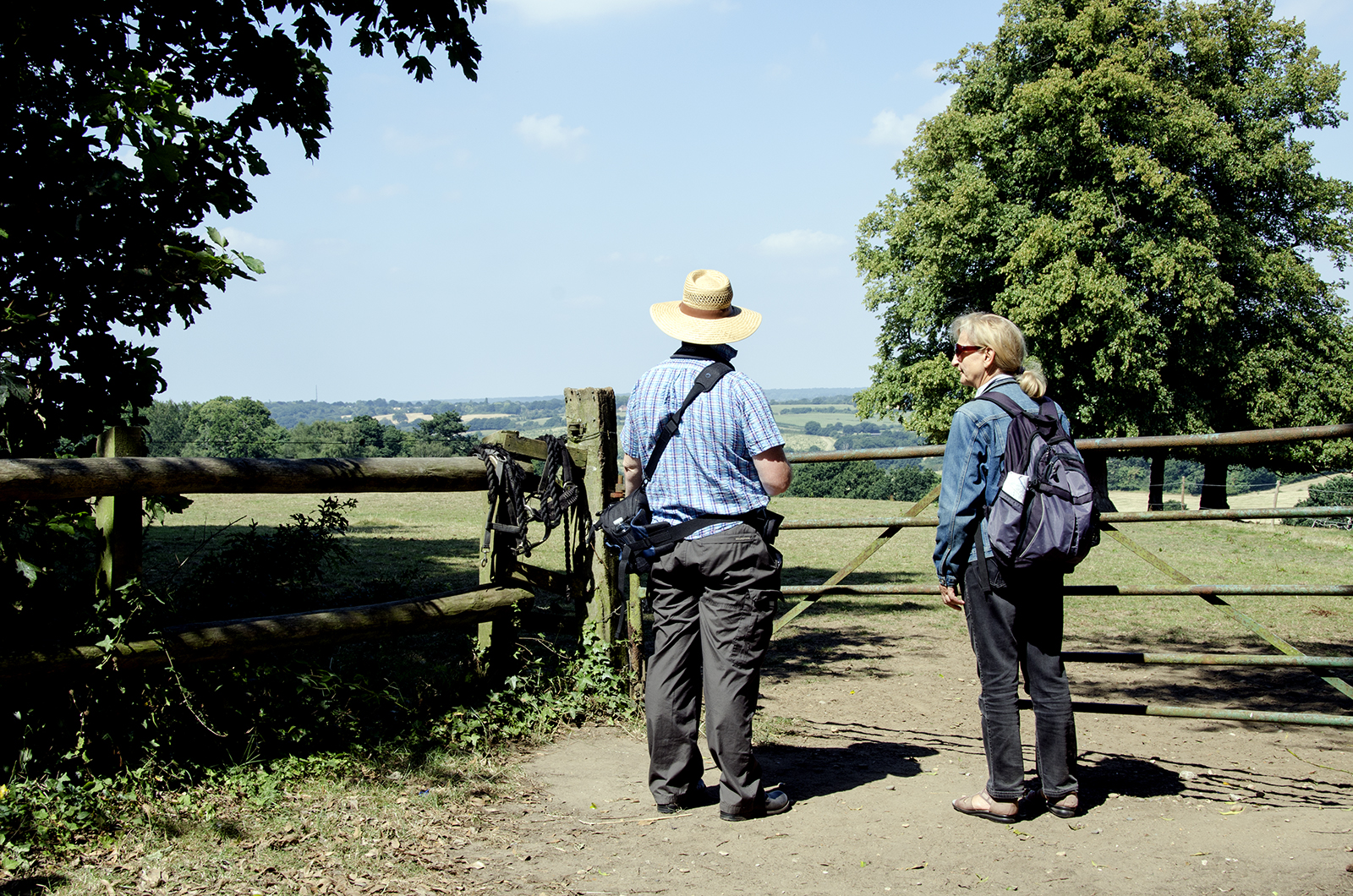 2016-08-17-Havering_View-towards-Hainault-Forest_Walkers-Enjoying-the-View_Summer