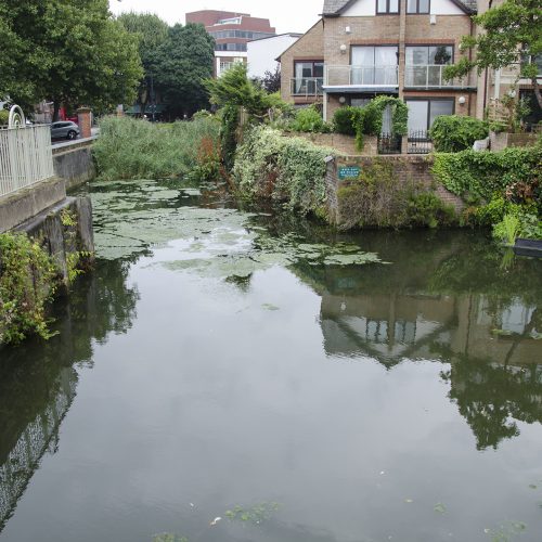 2016-08-19-Fulham_Thames-Path_Summer_Landscape_Tiny-Wildlife-Park