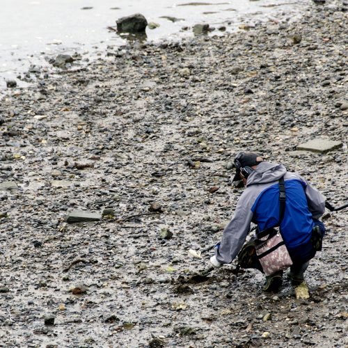 2016-08-19-LB-Fulham_Thames-Beach_Summer_People