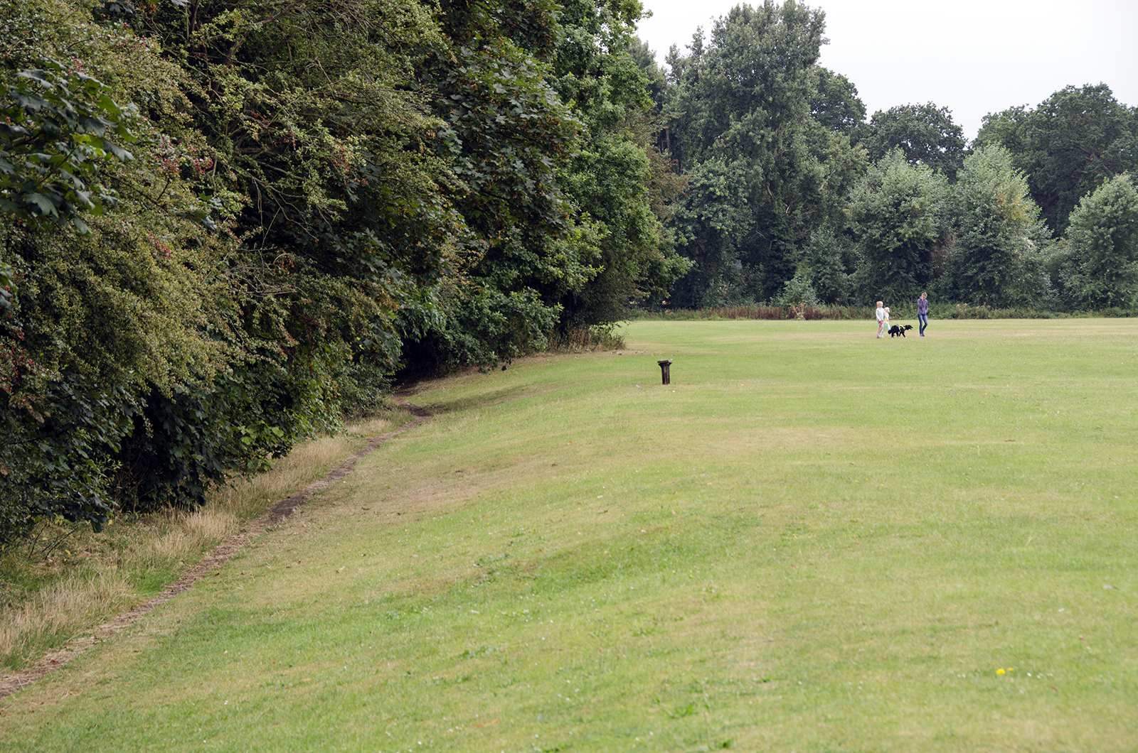 2016-08-19-LB-Richmond_Palewell-Common-Fields_Summer_Landscape