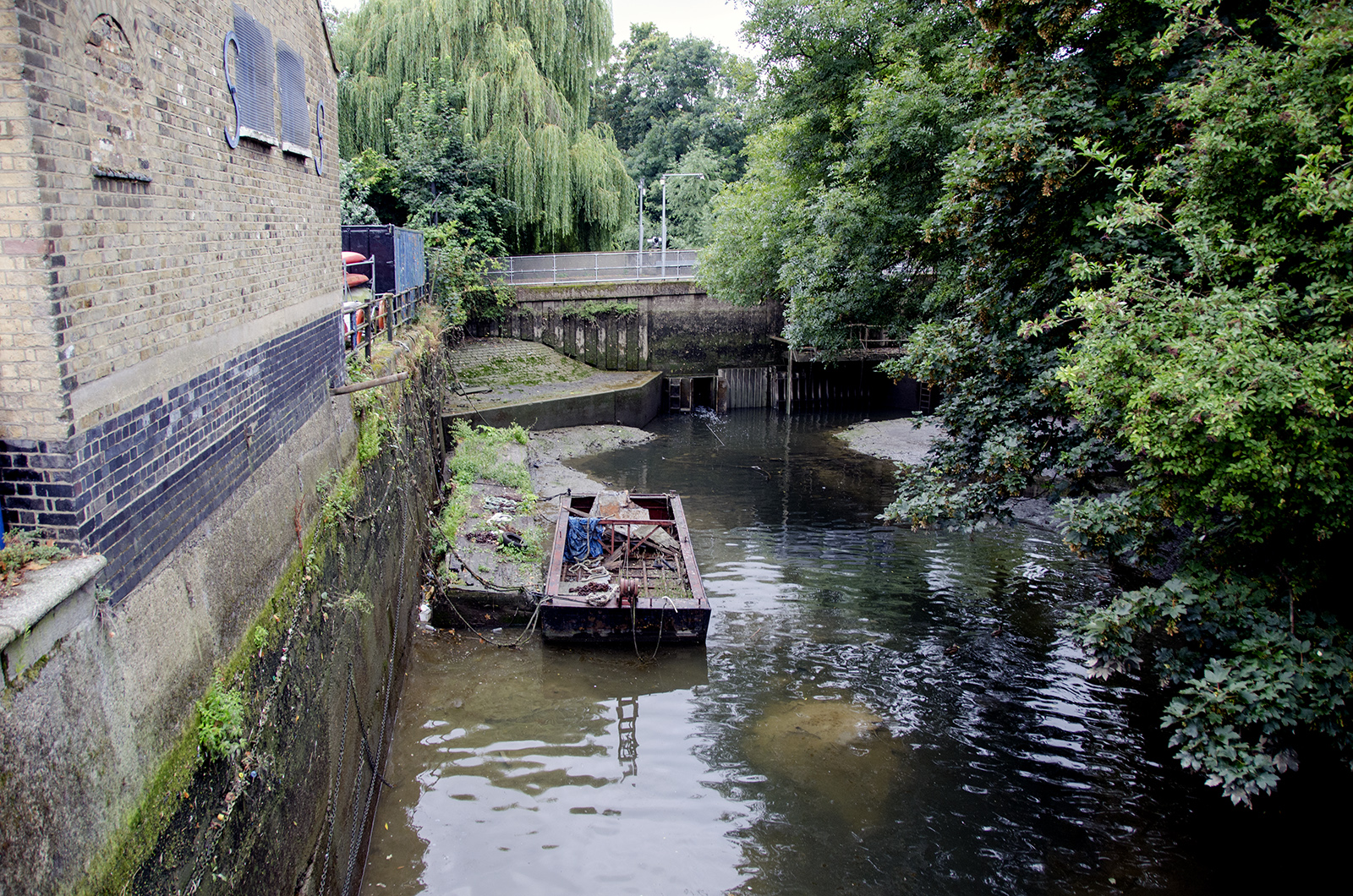 2016-08-19-LB-Wandsworth_Thames-Path-Summer_Landscape_Where-Beverley-Brook-meets-the-Thames