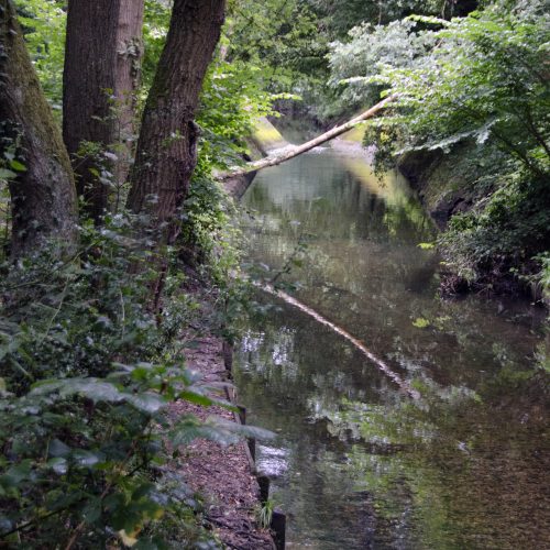 2016-08-19LB-Merton_-Beverley-Brook-Walk_Wimbledon-Common_Landscape_Summer_Reflections