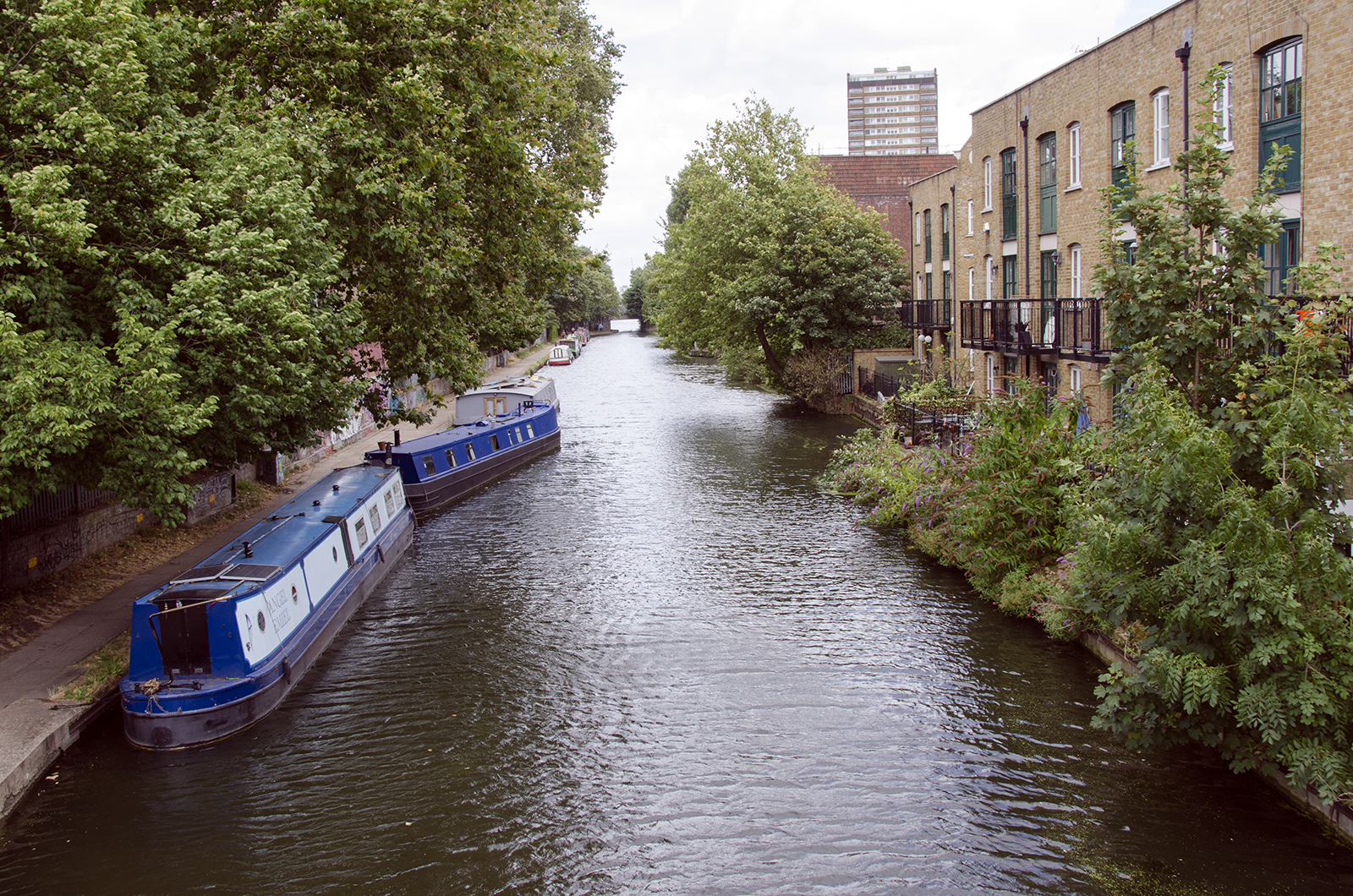 2016-08-20-Tower-Hamlets_Hertford-Canal_Landscape_Summer