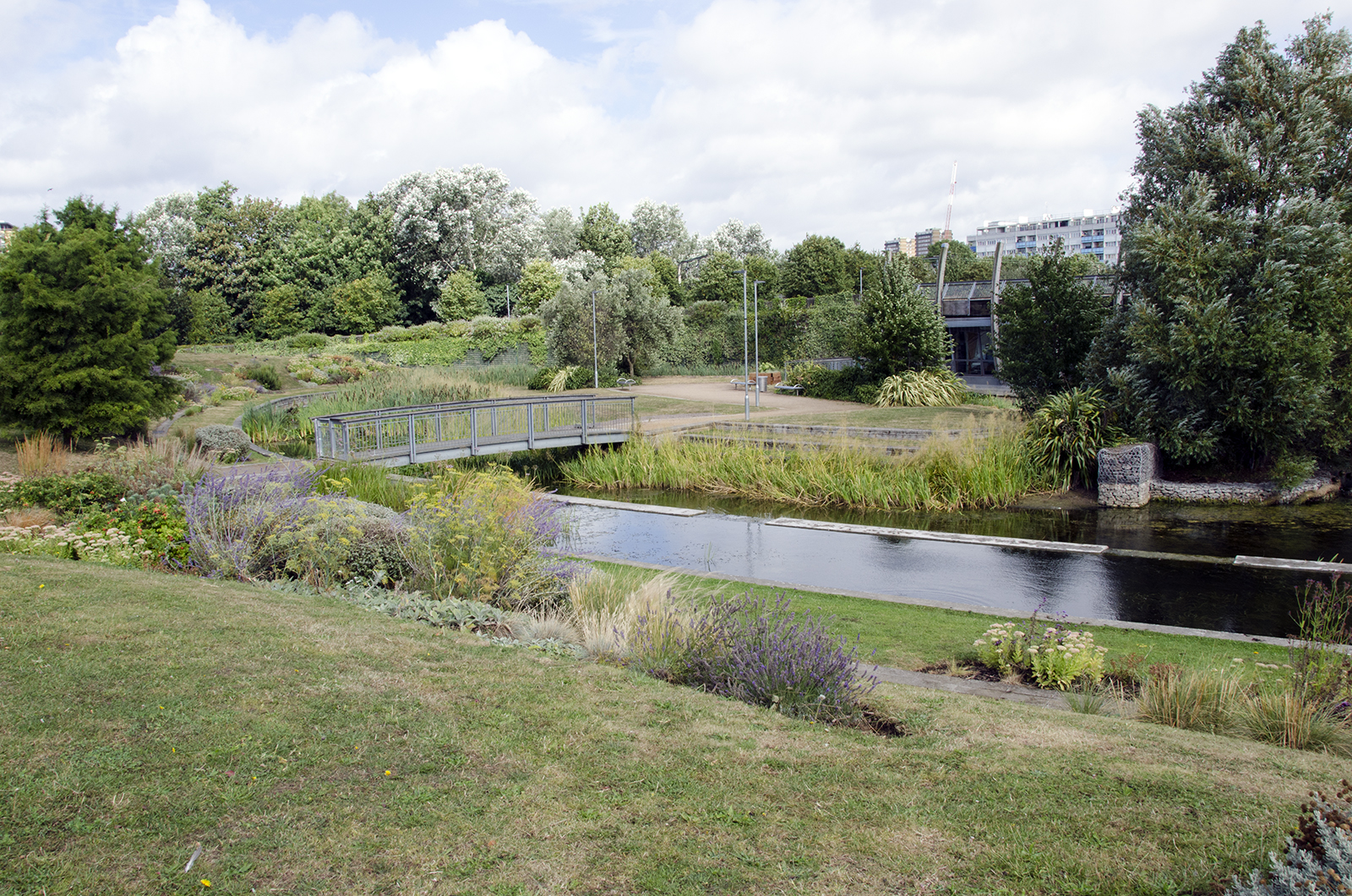 2016-08-20-Tower-Hamlets_Mile-End-Park_Ecology-Park_Landscape_Summer