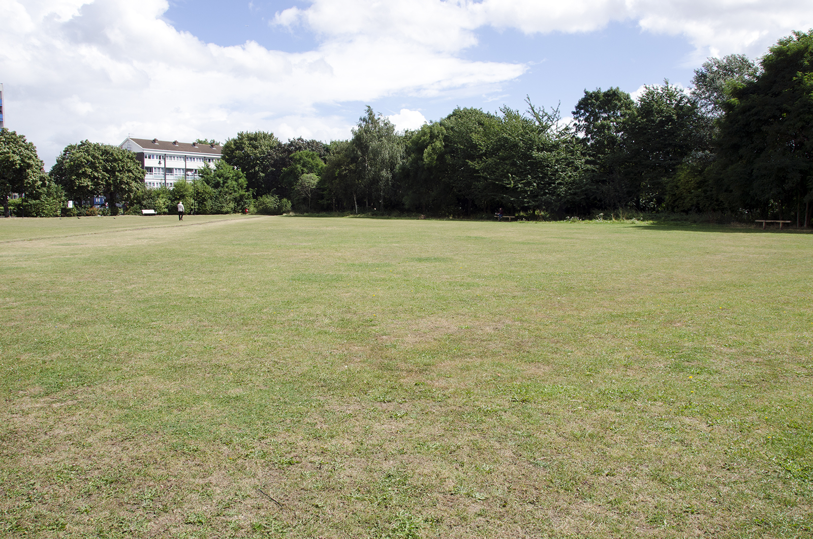 2016-08-20-Tower-Hamlets_Mile-End-Park_Haverfield-Green_Landscape_Summer