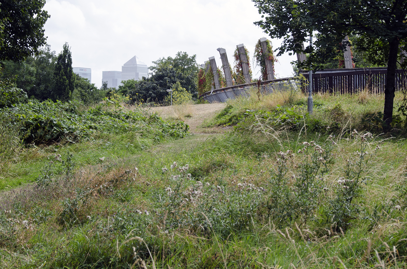 2016-08-20-Tower-Hamlets_Mile-End-Park_Landscape_Summer_Ecology-Park