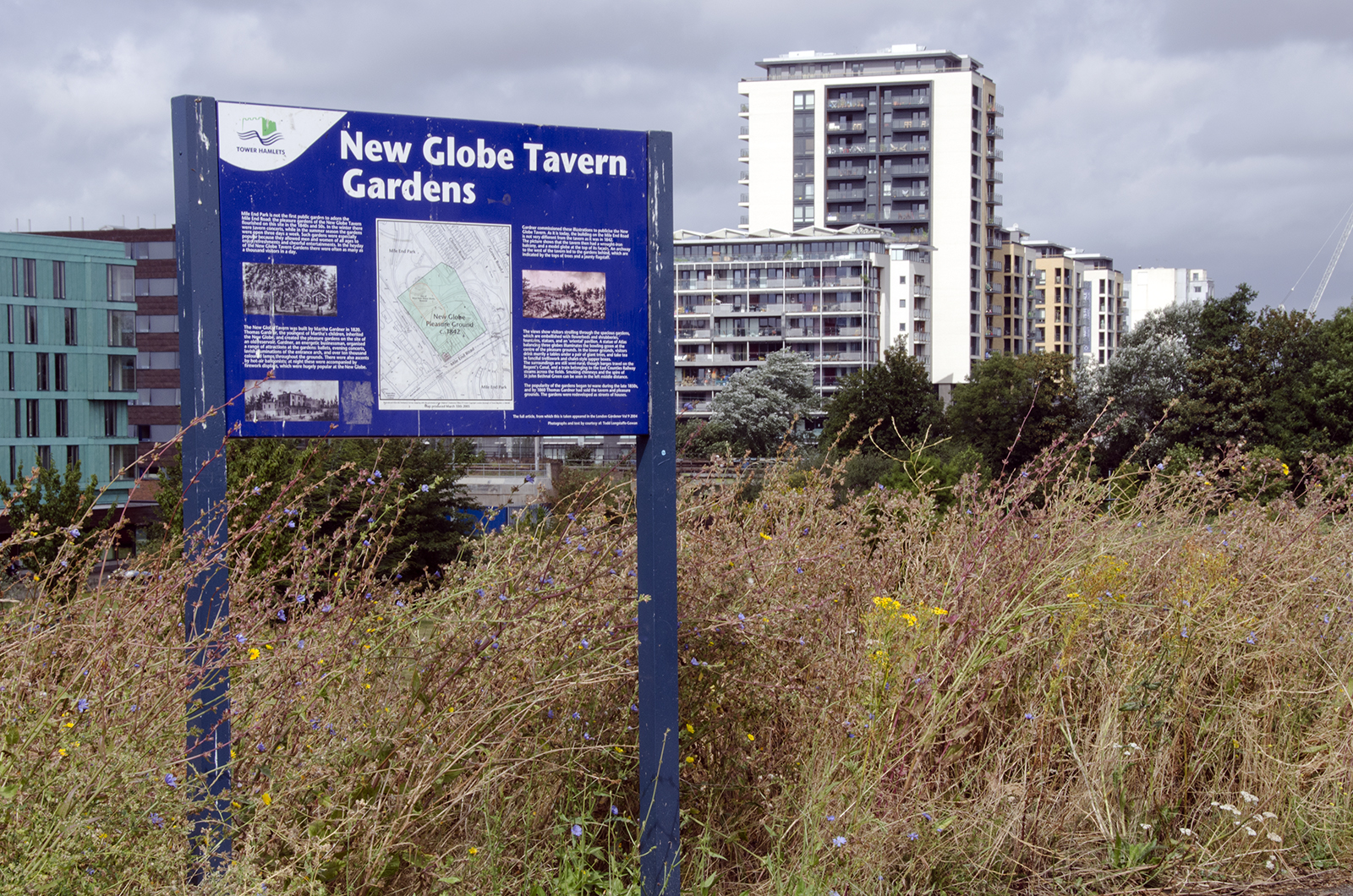 2016-08-20-Tower-Hamlets_Mile-End-Park_New-Glove-Tavern-Gardens_Summer_Landscape