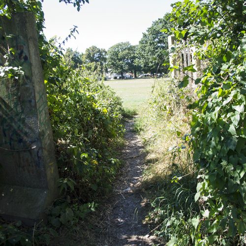 2016-08-26-LB-Brent_Summer_Landscape_Jubilee-Park_through-the-gap-in-the-hedge