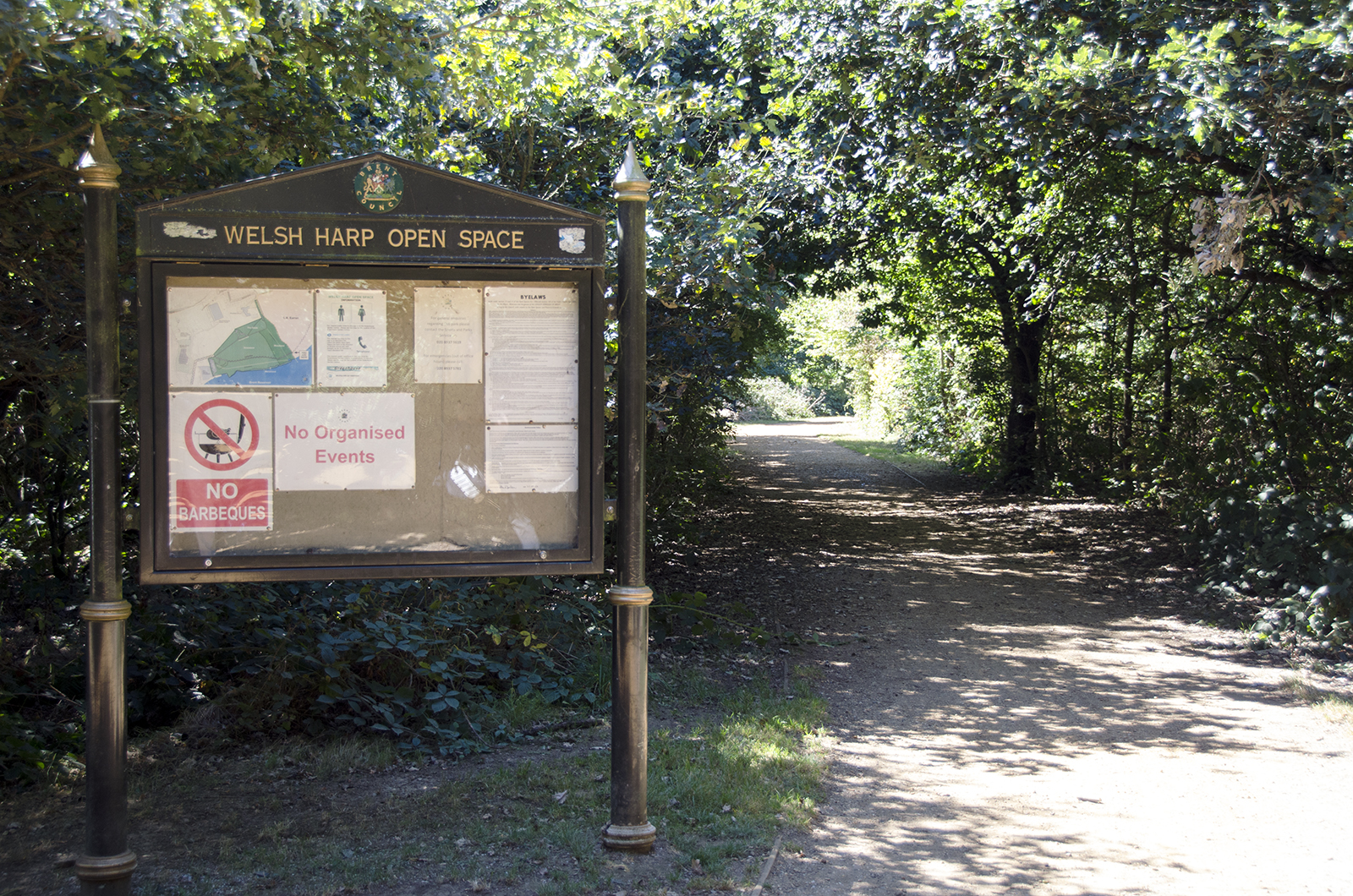 2016-08-26-LB-Brent_Summer_Welsh-Harp-Open-Space_Landscape