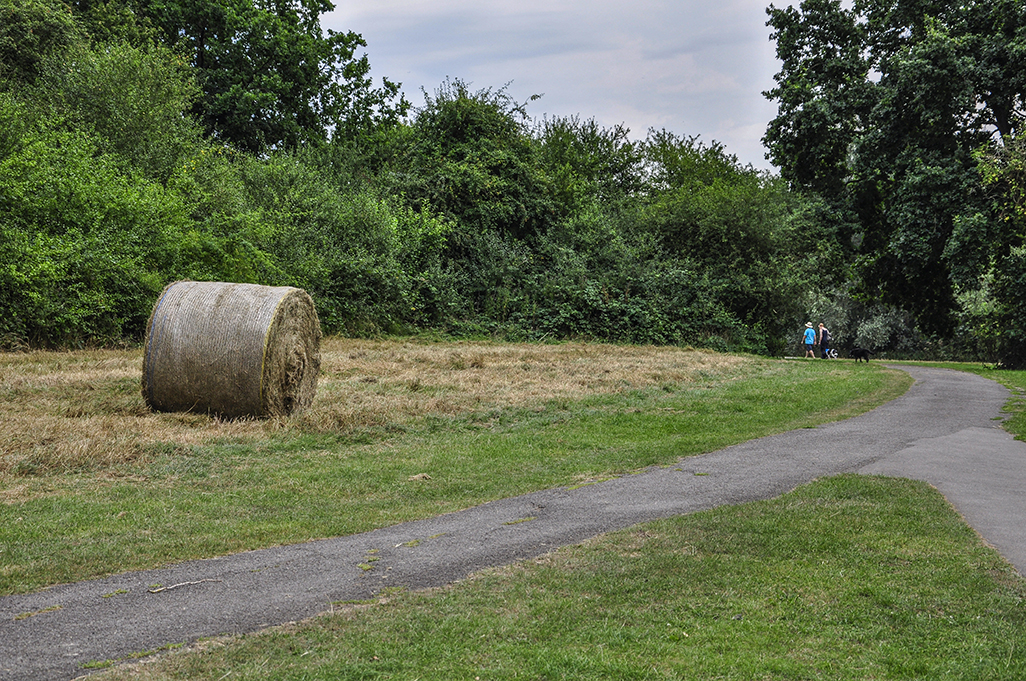 2016-824_Barnet_Wayatts-Farm-Open-Space_Bale-of-hay