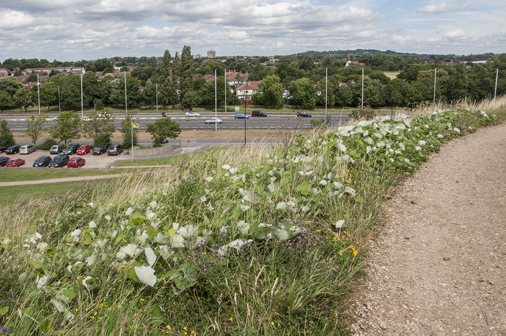 201600803_Ealing_Northala-Fields_View-of-A40-from-the-highest-mound