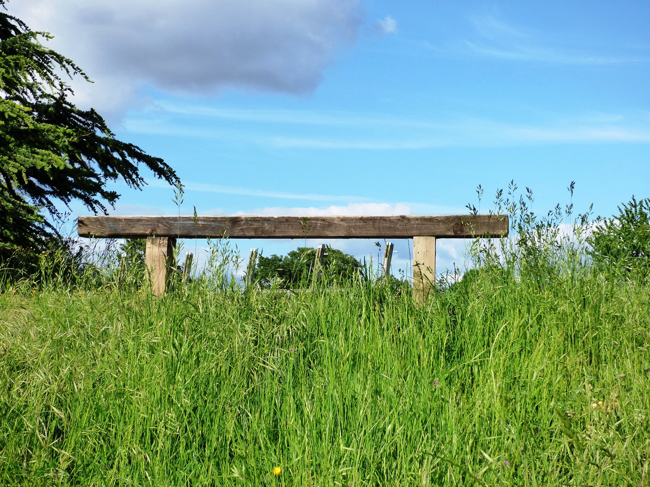 20160524_Tower-Hamlets_Mile-End-Park_Seat-of-Heaven